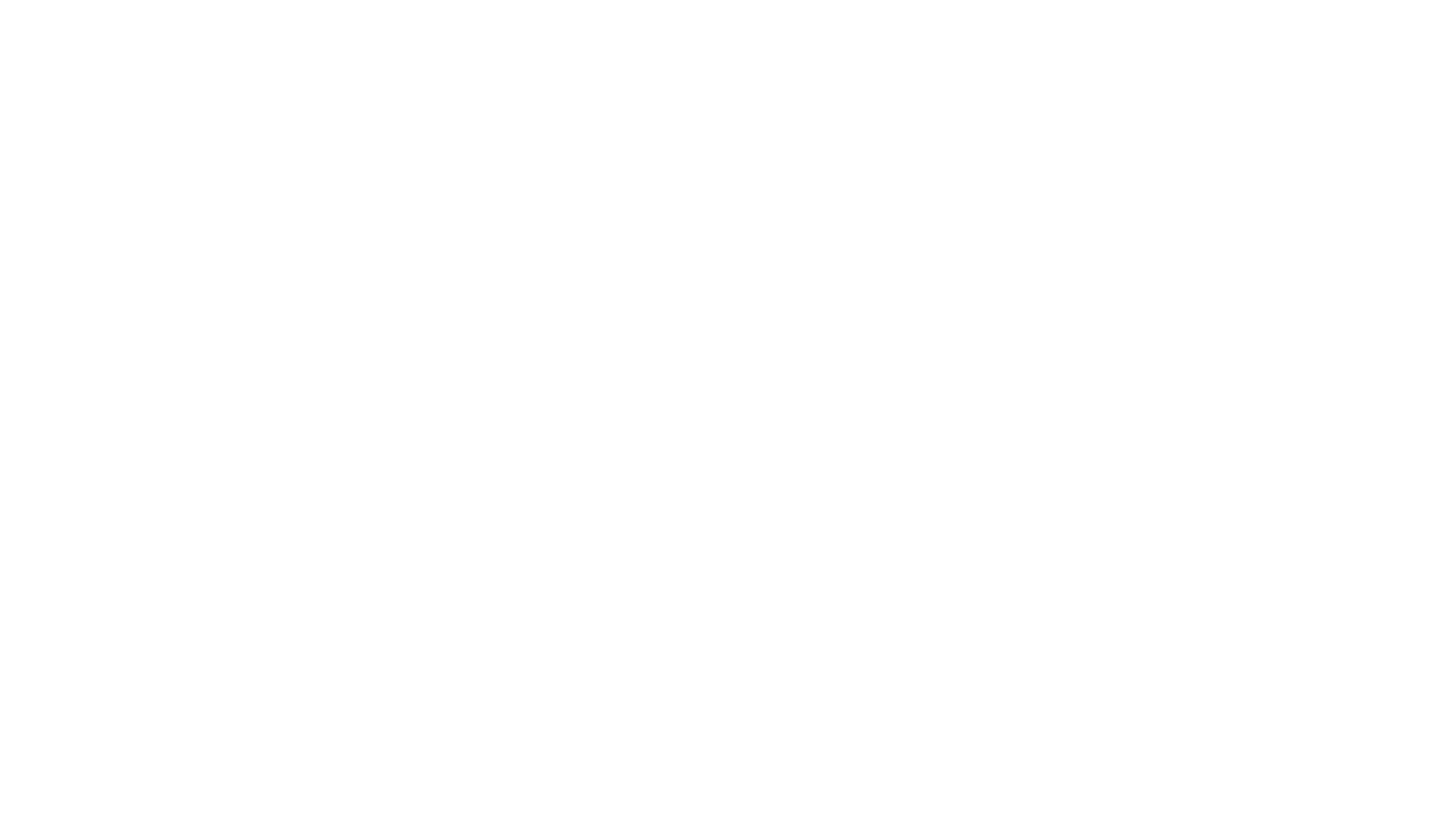 Companion 2.0 drawing as camping knife with droppoint blade, rockpattern handle